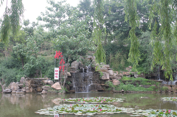 1465374285248585.jpg IMG_6134.JPG